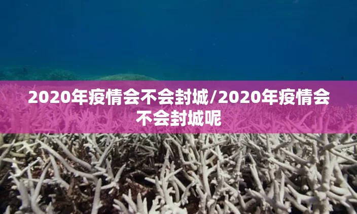 2020年疫情会不会封城/2020年疫情会不会封城呢