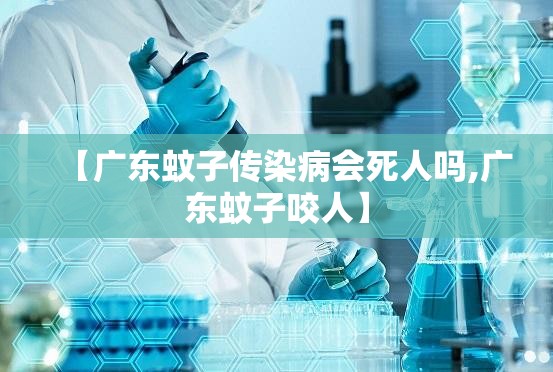 Bilibili海外版官网，跨越文化的二次元桥梁