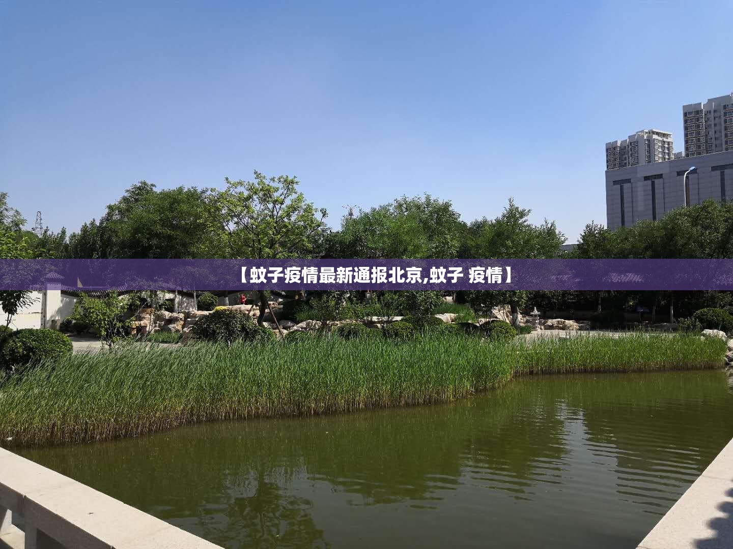西安疫情三年封城记录:西安疫情三年封城记录查询