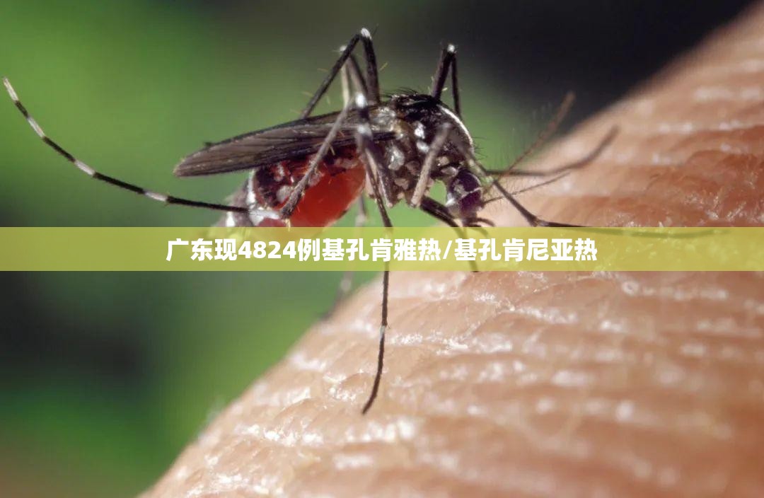 新冠是从什么时间开始的?新冠是从什么时间开始的