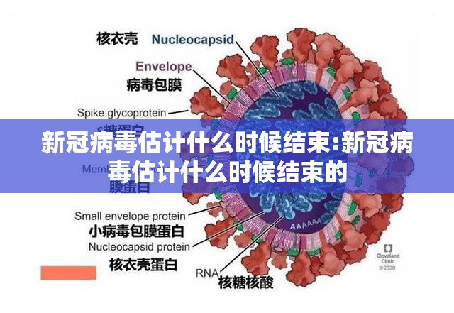 新冠病毒估计什么时候结束:新冠病毒估计什么时候结束的