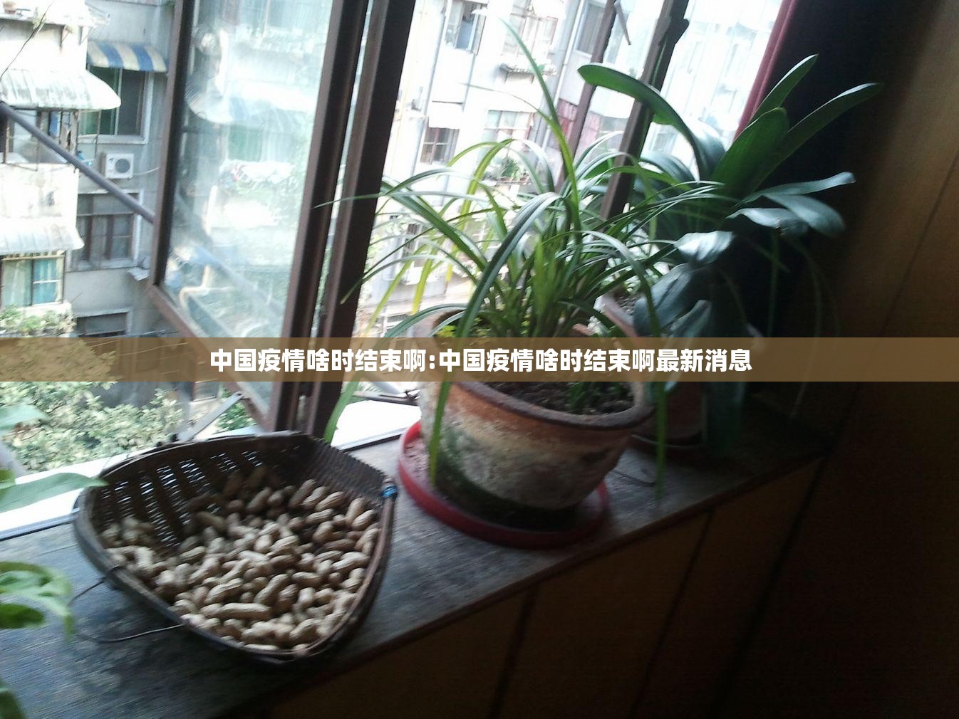 中国疫情啥时结束啊:中国疫情啥时结束啊最新消息
