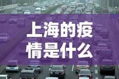 23年是疫情吗（2023年是疫情吗）
