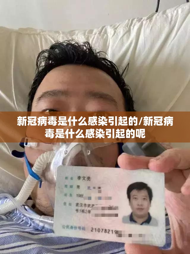 新冠最新消息实时动态，全球疫情趋势与防控策略解析