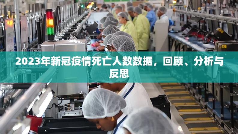 2023年新冠疫情死亡人数数据，回顾、分析与反思