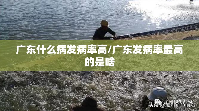 2025年可能再次封城吗知乎:2025年可能再次封城吗知乎