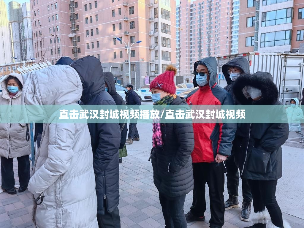 直击武汉封城视频播放/直击武汉封城视频