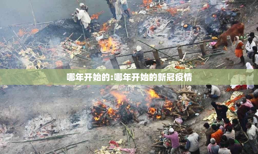 哪年开始的:哪年开始的新冠疫情