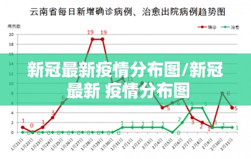 新冠最新疫情分布图/新冠 最新 疫情分布图