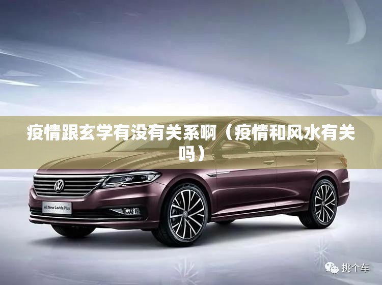 新冠疫情，全球挑战与人类应对
