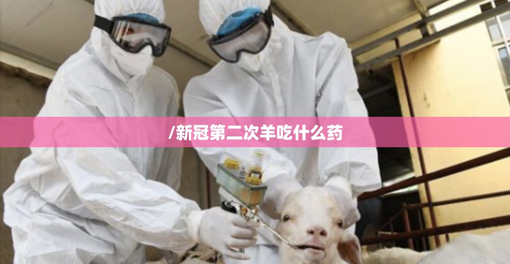 /新冠第二次羊吃什么药