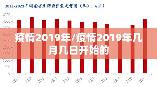 疫情2019年/疫情2019年几月几日开始的