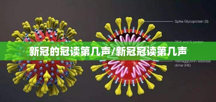 新冠的冠读第几声/新冠冠读第几声