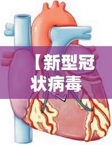 【新型冠状病毒的缩写,新型冠状病毒的缩写英文是什么】