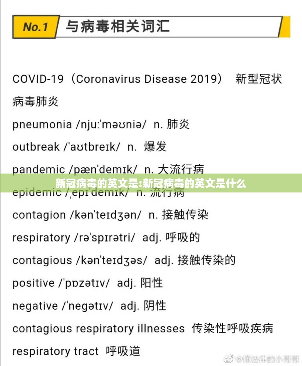新冠病毒的英文是:新冠病毒的英文是什么