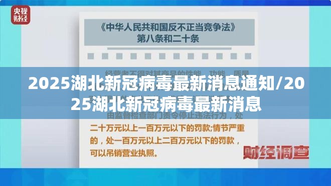 2025湖北新冠病毒最新消息通知/2025湖北新冠病毒最新消息