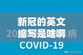 新冠的英文缩写是啥啊/新冠的英文缩写是啥