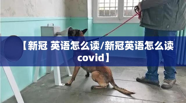 【新冠 英语怎么读/新冠英语怎么读covid】