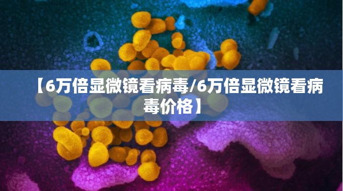 【6万倍显微镜看病毒/6万倍显微镜看病毒价格】