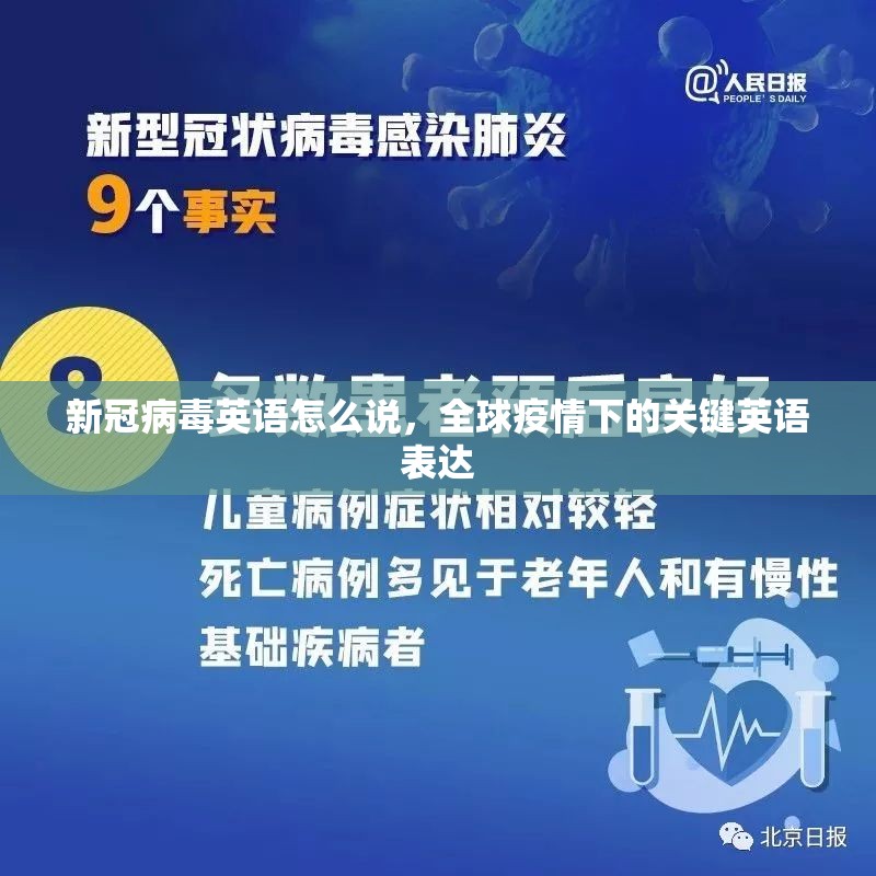 新冠病毒英语怎么说，全球疫情下的关键英语表达