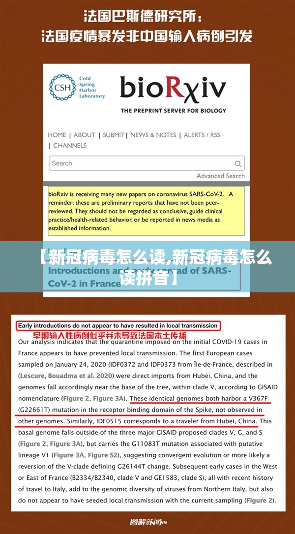 【新冠病毒怎么读,新冠病毒怎么读拼音】