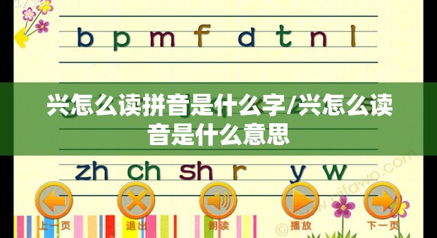 兴怎么读拼音是什么字/兴怎么读音是什么意思