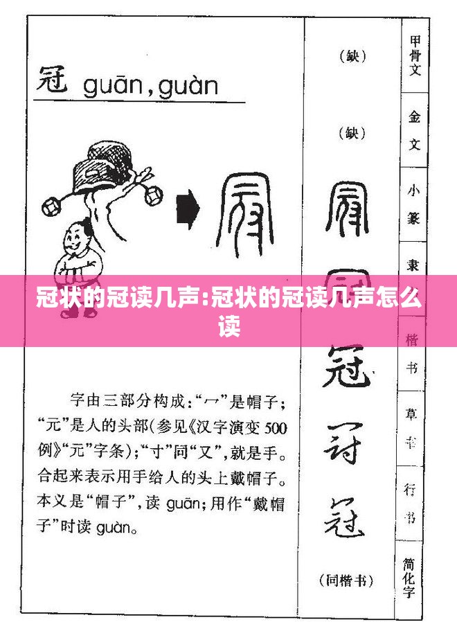 冠状的冠读几声:冠状的冠读几声怎么读