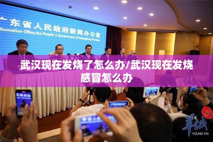 武汉现在发烧了怎么办/武汉现在发烧感冒怎么办