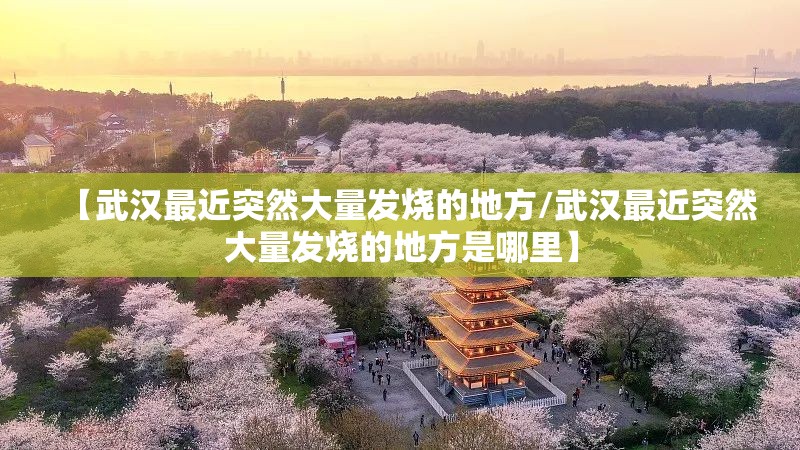 【武汉最近突然大量发烧的地方/武汉最近突然大量发烧的地方是哪里】