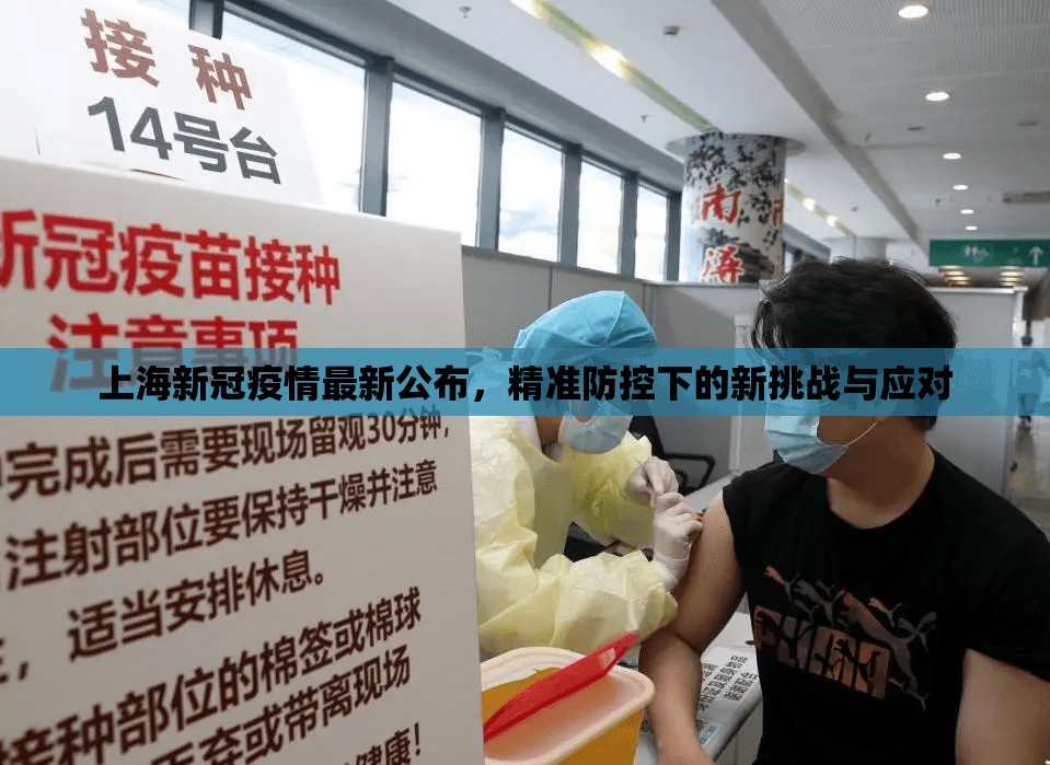 上海新冠疫情最新公布，精准防控下的新挑战与应对