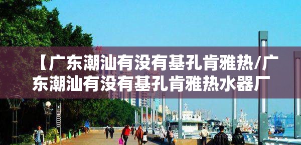 【广东潮汕有没有基孔肯雅热/广东潮汕有没有基孔肯雅热水器厂】