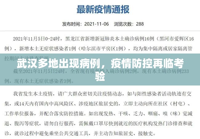 武汉多地出现病例，疫情防控再临考验