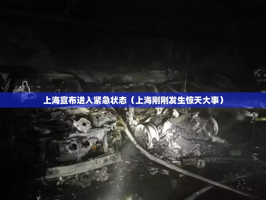 上海宣布进入紧急状态（上海刚刚发生惊天大事）