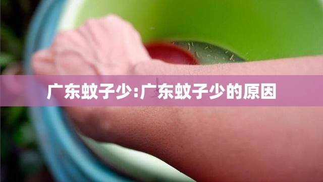 广东蚊子少:广东蚊子少的原因
