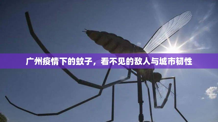广州疫情下的蚊子，看不见的敌人与城市韧性