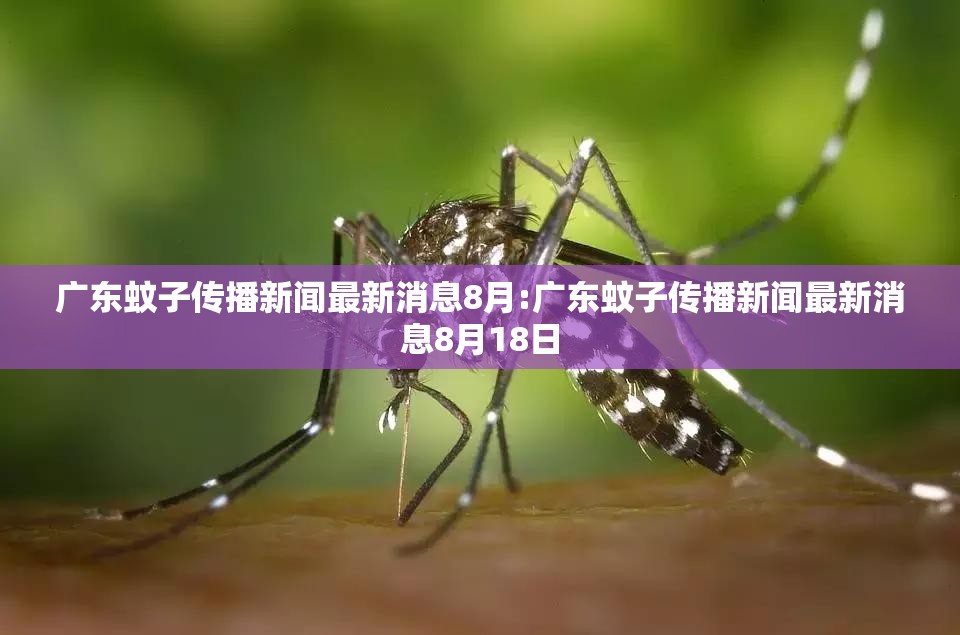 广东蚊子传播新闻最新消息8月:广东蚊子传播新闻最新消息8月18日