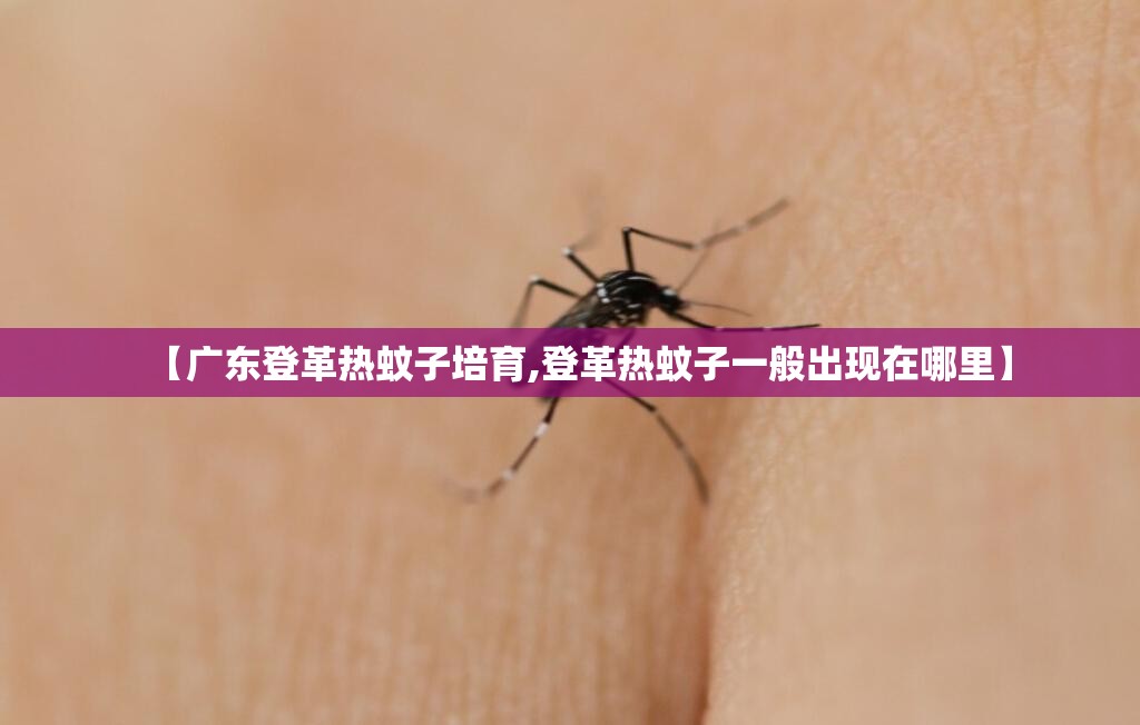 【广东登革热蚊子培育,登革热蚊子一般出现在哪里】