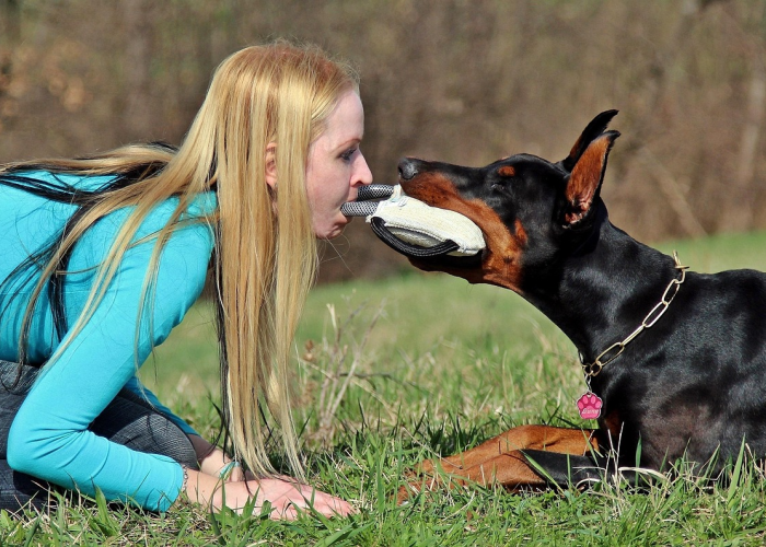 辅助神器“哈狗游戏十三道有漏洞吗”(详细开挂教程) 辅助神器“哈狗游戏十三道有漏洞吗”(详细开挂教程)