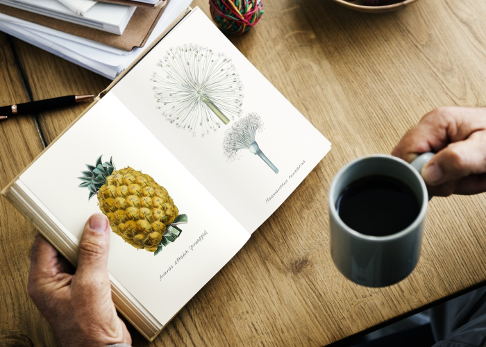 分析实测“手机麻将怎么看别人开挂了没有”其实确实有挂