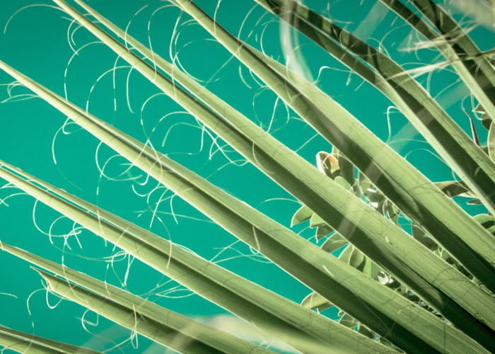 分析实测“微乐捉鸡麻将可以开挂吗安卓”详细开挂玩法