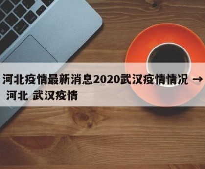 河北疫情最新消息2020武汉疫情情况 → 河北 武汉疫情