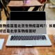 长春生物疫苗是北京生物疫苗吗?：长春生物疫苗好还是北京生物疫苗好