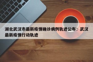 湖北武汉市最新疫情确诊病例轨迹公布：武汉最新疫情行动轨迹