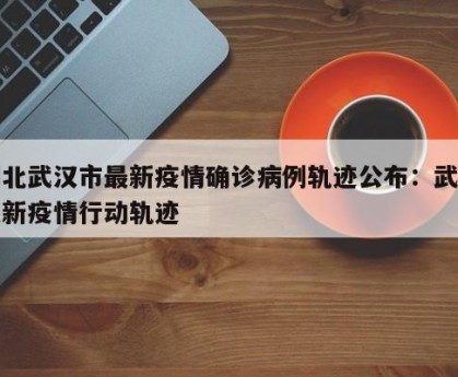 湖北武汉市最新疫情确诊病例轨迹公布：武汉最新疫情行动轨迹