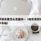 哈尔滨到太原怎么走最快—（哈尔滨到太原路过多少车站）
