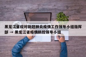 黑龙江省应对新冠肺炎疫情工作领导小组指挥部 → 黑龙江省疫情防控领导小组