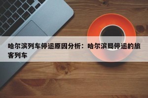 哈尔滨列车停运原因分析：哈尔滨局停运的旅客列车