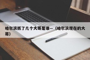 哈尔滨抓了几个大哥是谁—（哈尔滨现在的大哥）