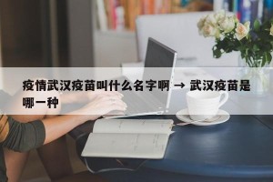 疫情武汉疫苗叫什么名字啊 → 武汉疫苗是哪一种