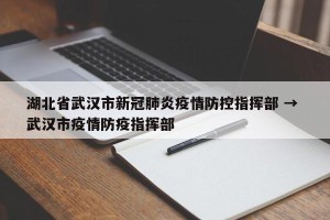 湖北省武汉市新冠肺炎疫情防控指挥部 → 武汉市疫情防疫指挥部